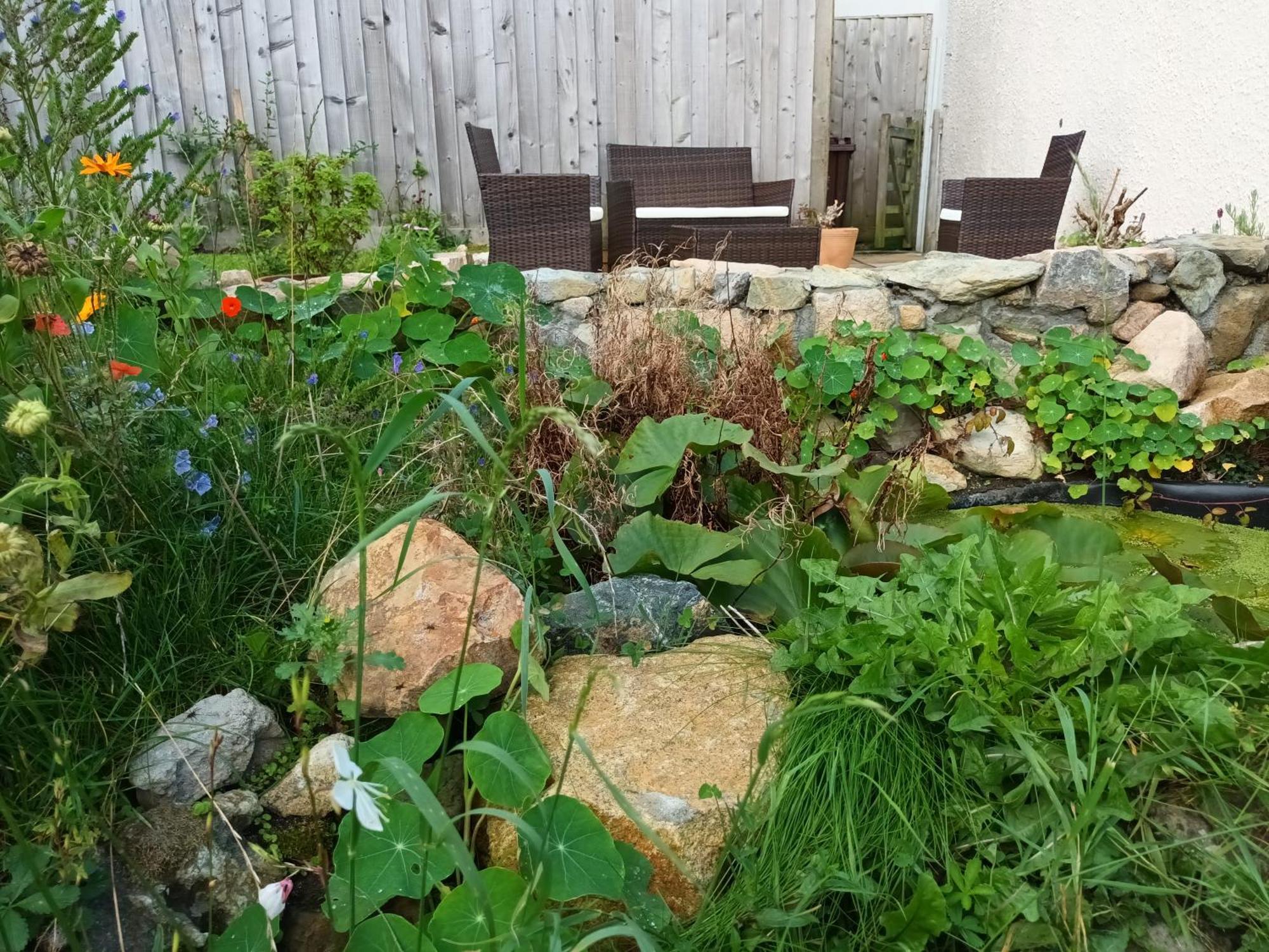 Sunrise! ~ 2 Bedrooms, Garden, Parking, Sea Views St Ives Екстериор снимка